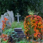 Kuva hautausmaalta. Hautapaasia ja ristejä joiden päällä värikkäitä köynnöksiä.