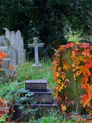 Kuva hautausmaalta. Hautapaasia ja ristejä joiden päällä värikkäitä köynnöksiä.